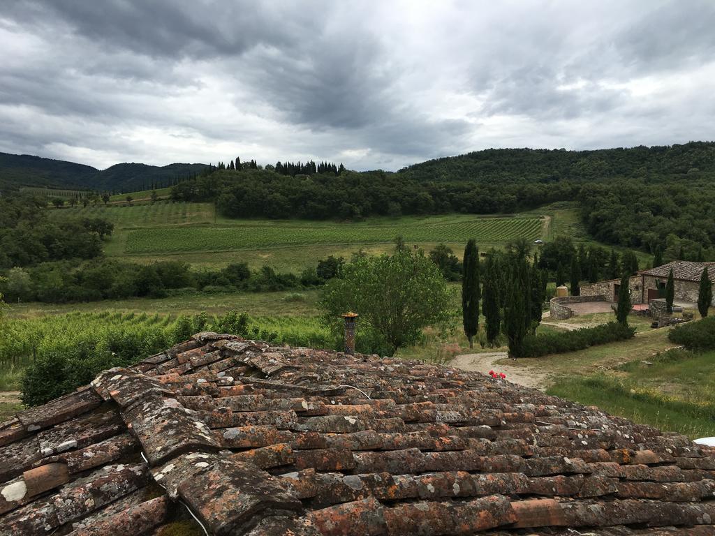 Podere Terreno Alla Via Della Volpaia Radda in Chianti Eksteriør billede