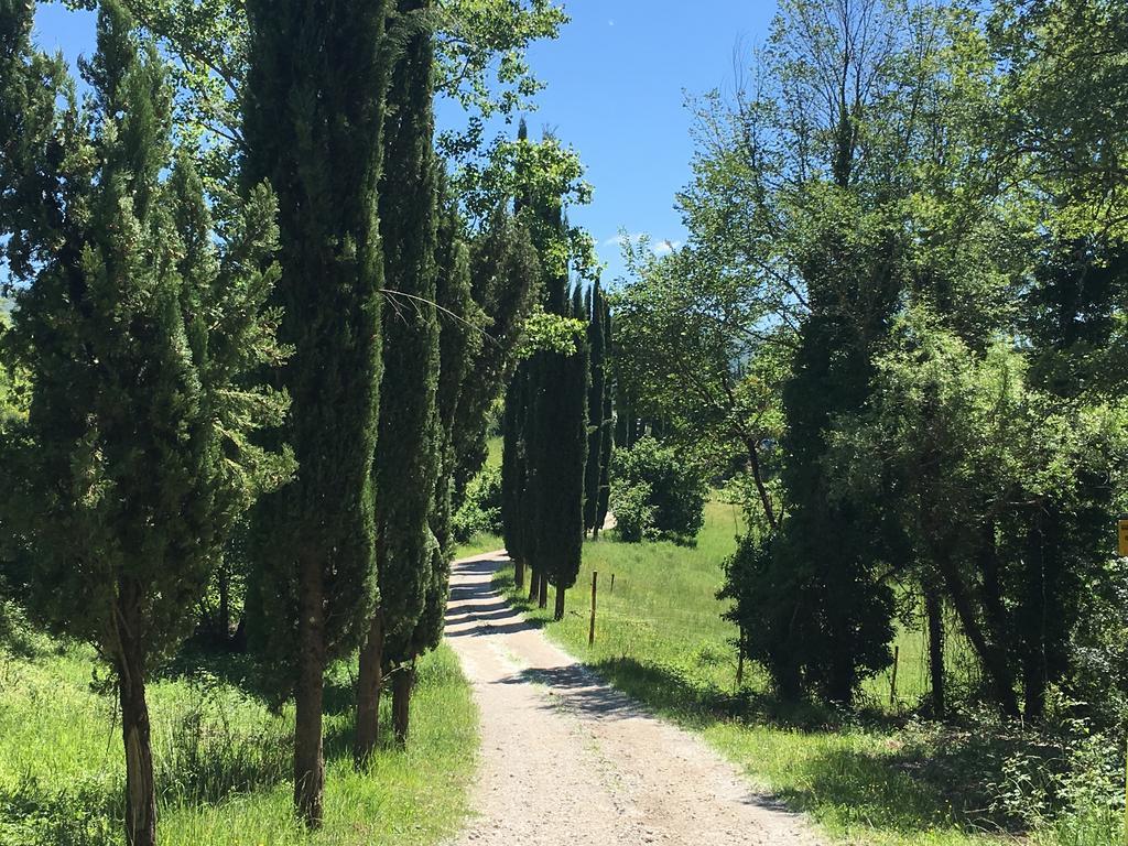 Podere Terreno Alla Via Della Volpaia Radda in Chianti Eksteriør billede